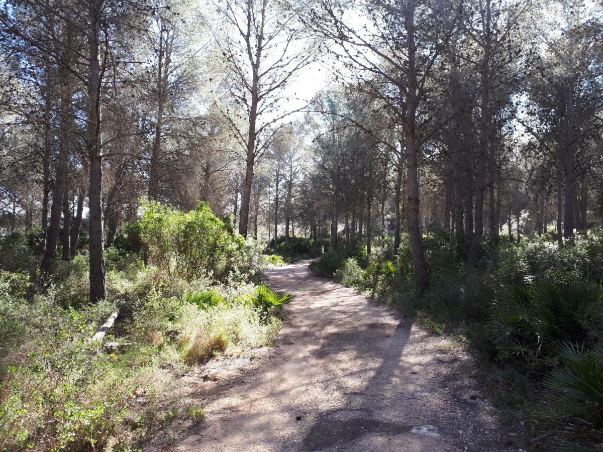 Amborget Villa San Jorge  Dış mekan fotoğraf